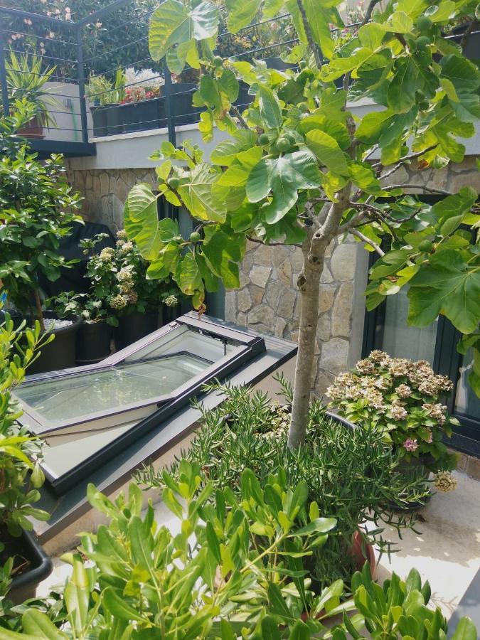 Artspace Location-Opatija-3 Bedroom House With Rooftop Garden By Beach Eksteriør bilde