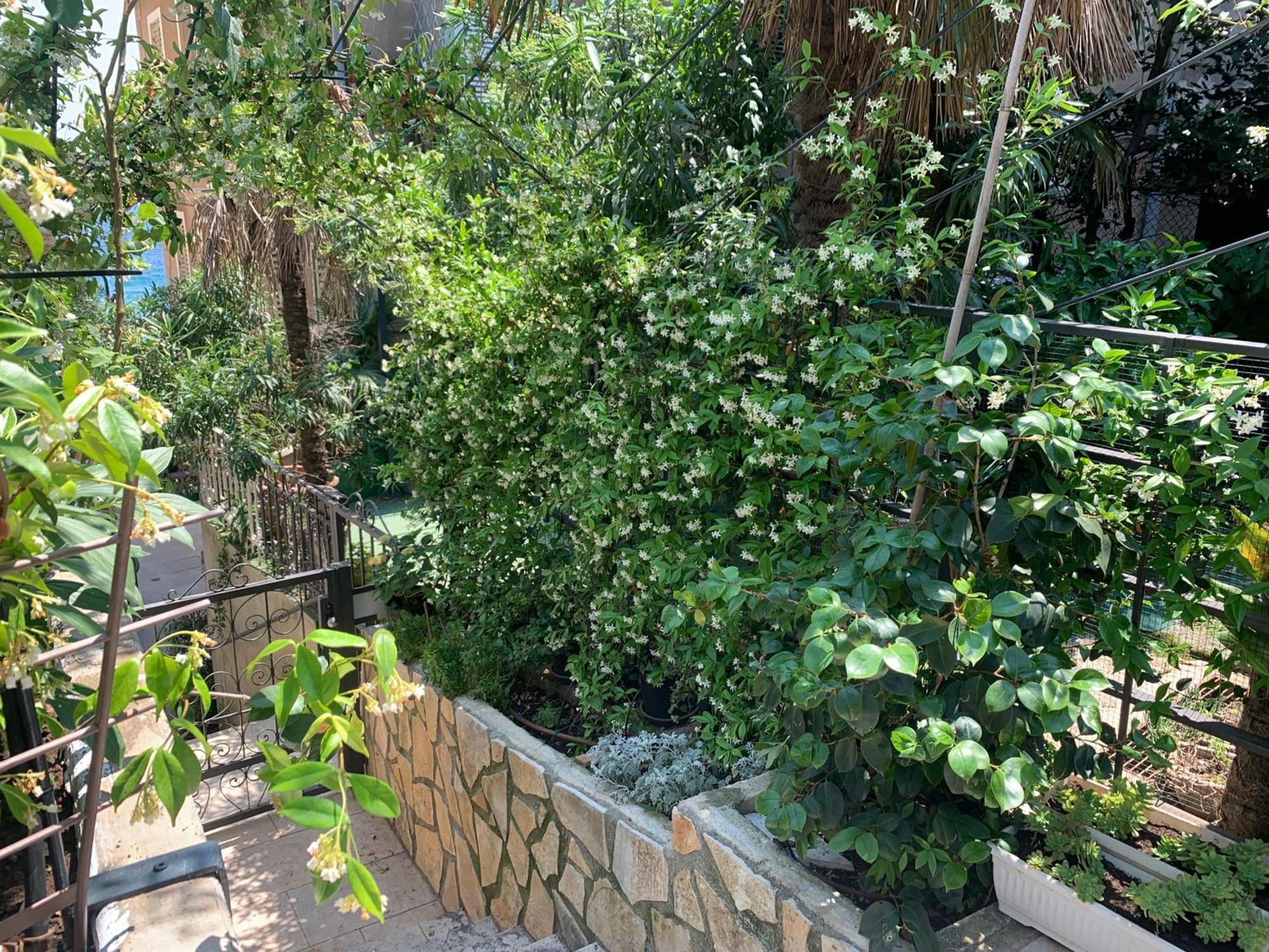 Artspace Location-Opatija-3 Bedroom House With Rooftop Garden By Beach Eksteriør bilde